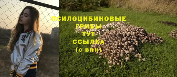 кокс Заводоуковск