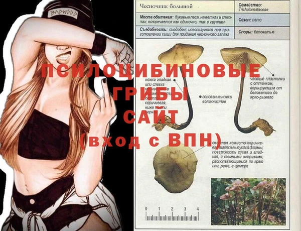 кокс Заводоуковск