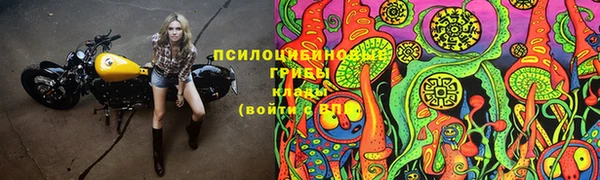 кокс Заводоуковск