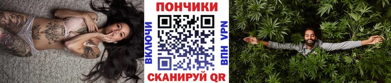 Купить  Лермонтов  Шишки марихуана индика 